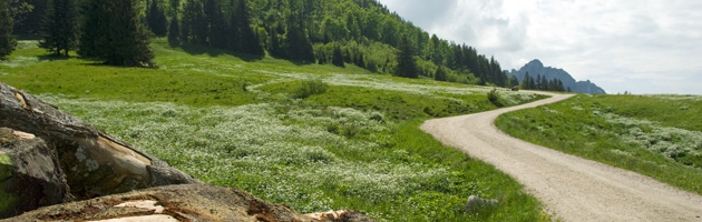 Wandern in Grassau